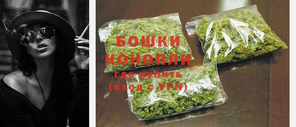 МДПВ Новозыбков