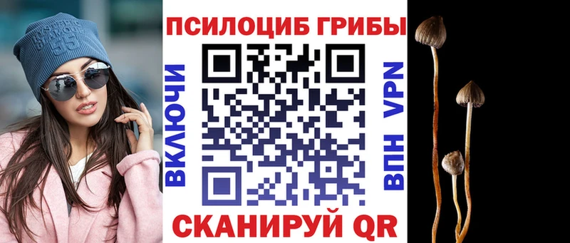 Галлюциногенные грибы ЛСД  Свободный 